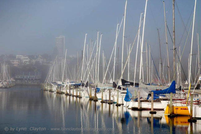 Westhaven Marina, Aucklan